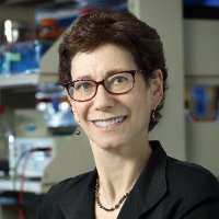 Cynthia Wolberger (@cwolberger) 's Twitter Profile Photo Cynthia Wolberger (@cwolberger) 's Twitter Profile Photo