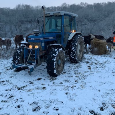 ThomasB82325629's profile picture. Farmer, Engineer, landscaper by day dad of 3 beautiful angels 👼 !!