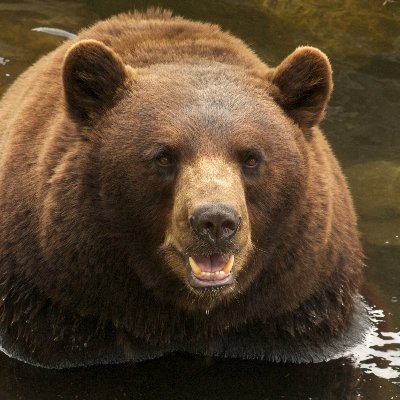 ludzkimglosem's profile picture. Ludzkim głosem o ważnych sprawach.