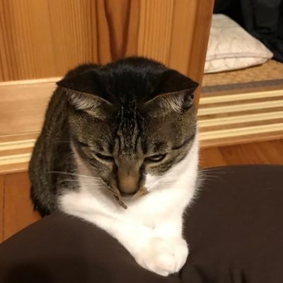 tsmc2k2u's profile picture. 