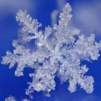 Pahulja ❄️ (@ssnees) 's Twitter Profile
