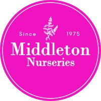 Middleton Nurseries(@midnurseries) 's Twitter Profile Photo