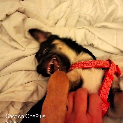 sumchic0805's profile picture. Viva Las Vegas!!