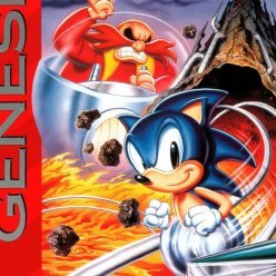 Wylzin1's profile picture. Sonic Spinball