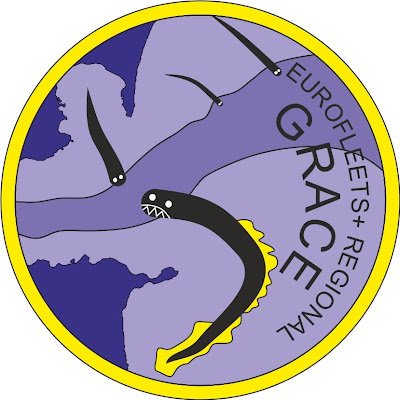 Cuenta oficial/Official account - EUROFLEETS+ GRACE Project (GeohazaRds Along the CEuta canyon)
