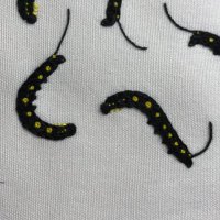 むしめづ (@imo_imogtr) 's Twitter Profile Photo むしめづ (@imo_imogtr) 's Twitter Profile Photo