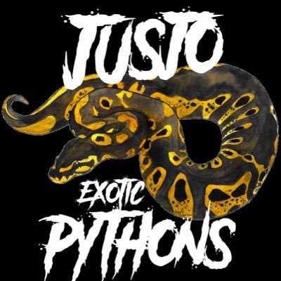 JExoticpythons's profile picture. Az 🌵 BALL PYTHON KEEPER/BREEDER 🐍 EVERYTHING EXOTIC #jusjoexoticpythons FOLLOW ME TO SEE THE JOURNEY🙌🦾💯