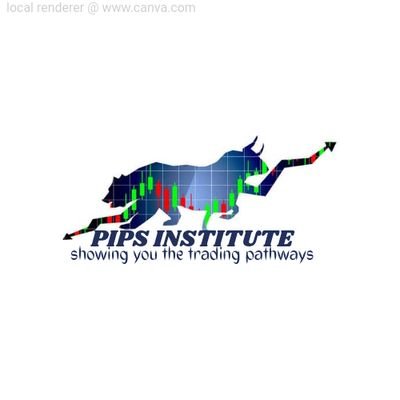 Pips Institute is a Trading company where people are given financial knowledge through teaching them how to trade the forex and crypto market,we also have other