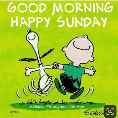 tottetudda's profile picture. Reflekterande och analyserande.