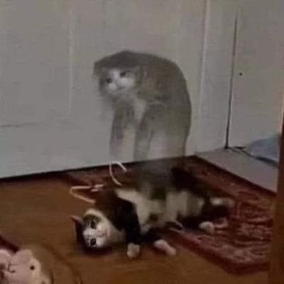 touchxnot's profile picture. tryna survive college|bi and shy😖|escapism acc|