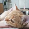 Dorotaisimba's profile picture. Always happy