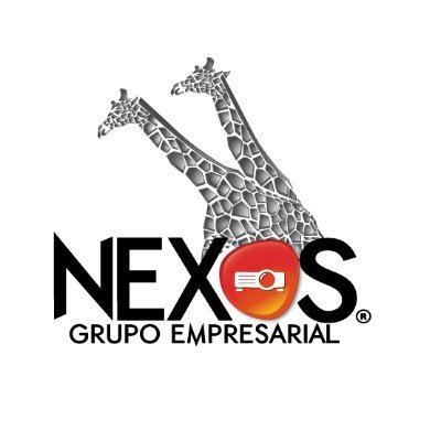 Grupo Empresarial Nexos