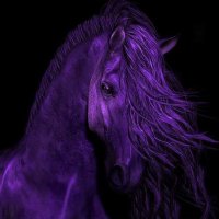 Purple_Horse(@The_PurpleHorse) 's Twitter Profile Photo