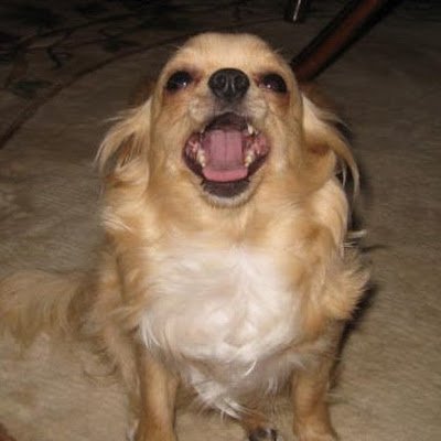 MindyMahaffey76's profile picture. 