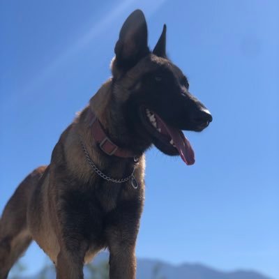 leongabito's profile picture. Podemos estar seguros de que el futuro nos pertenece!!!