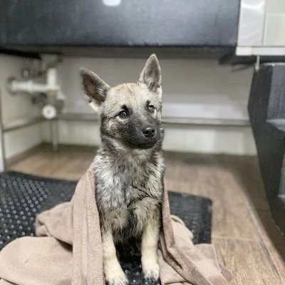 Mudslides9's profile picture. 