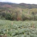 Jhon Arango - @JhonAra98220854 - Twitter