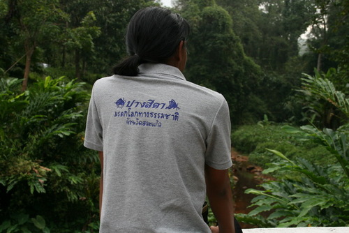 NoteTone's profile picture. 