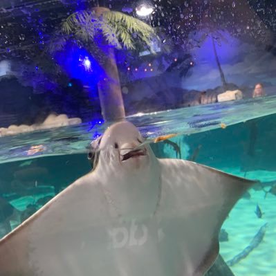 Justthesame15's profile picture. Proud Republican.  can’t stand byedon.  payback is coming this fall.