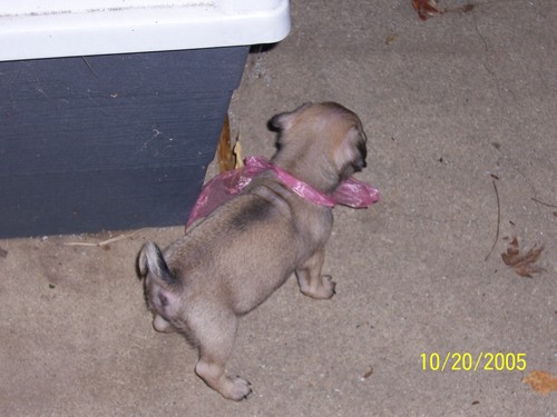 terrylfritz's profile picture. 