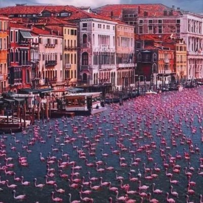 Josefin79913012's profile picture. Mujer, madre, bioquímica, radical, harta de estos inútiles!