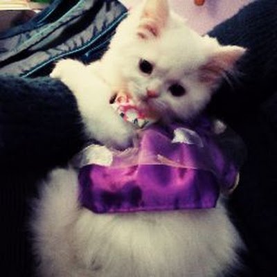 charlot13345012's profile picture. 