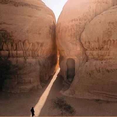 HumblSoulSnachr's profile picture. 