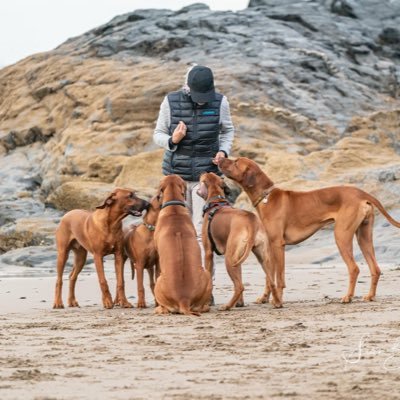 Life with 2 Ridgebacks. The good, the bad & the ugly tales about dog ownership. Find out more on my Substack 👇🏻