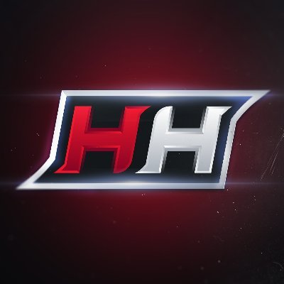 DoubleH_YT Profile Picture