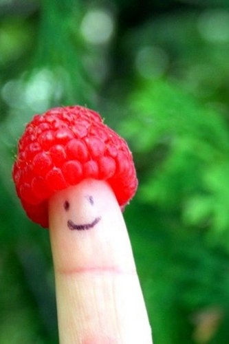 LadyDudes's profile picture. 