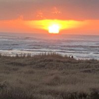 Scott (@kendalllllbaaby) 's Twitter Profile Photo