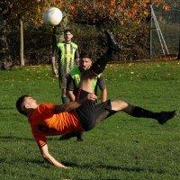 Carl Hamm (@hamm_carl) 's Twitter Profile