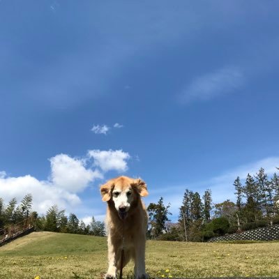 Lun_a_h's profile picture. 