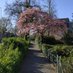 Plant Science Enthusiast (@plantscienceen1) Twitter profile photo Plant Science Enthusiast (@plantscienceen1) Twitter profile photo