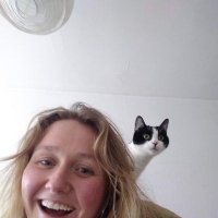 Sophie Davis (@sophstat1) 's Twitter Profile