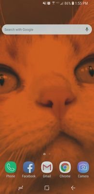 steve-thousand Profile