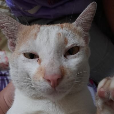 gurintyy's profile picture. 