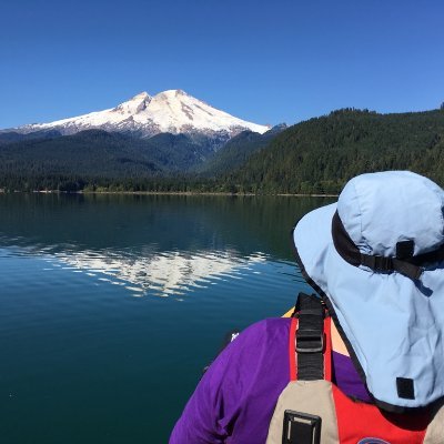 PNW, libraries, safer pipelines, vans, dogs, family