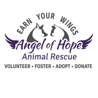 AOH is a 501(c)(3) Non-Profit, Rescue Organization dedicated to rescuing homeless & abandoned animals. MN Licensed Kennel #MN470216. https://t.co/0g1NDnmLn8