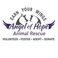 Angel of Hope Animal Rescue(@AOHAnimalRescue) 's Twitter Profile Photo