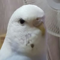 HIRO (@hiro91712245) 's Twitter Profile Photo HIRO (@hiro91712245) 's Twitter Profile Photo