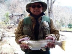 @taifu_curry