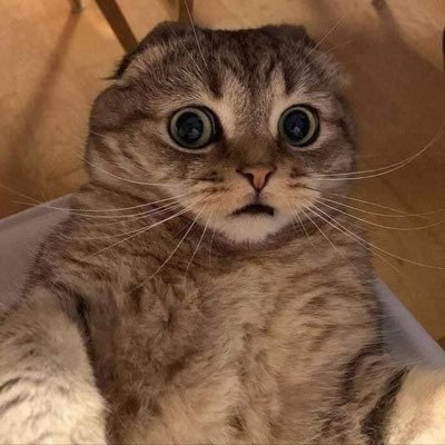 namoo_sosad's profile picture. อ่า