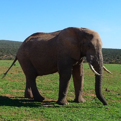 Jamdownking881's profile picture. Music & Tantra R' what keep my heart, mind & Spirit pumping and ready to"Get away with it all" from the moment my feet hit the floor in the morning