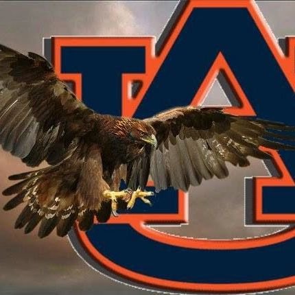 bleeding orange & blue      /       WAR EAGLE