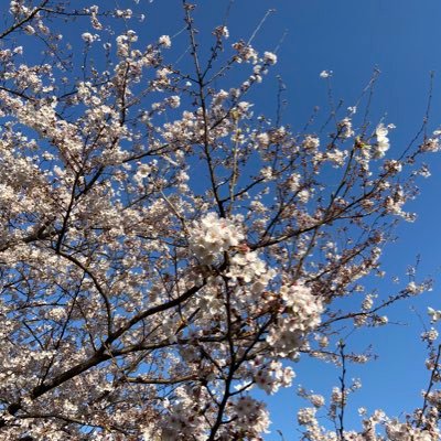 ベトナム、バングラデシュ、ネパール,ミャンマーで日本語教室を運営している会社と提携する行政書士事務所です。登録支援機関や外国人居住アパート管理会社の通訳や翻訳も承ります。#特定技能 #技能実習 #育生就労 #vietnam #bangladesh #nepal #mongol #myanmar