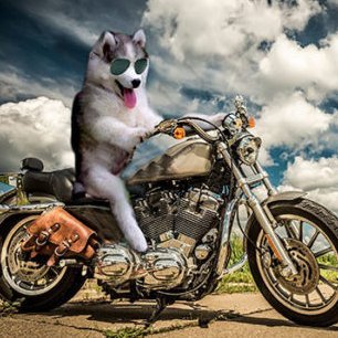 TLap1s's profile picture. @HeXagon_fn