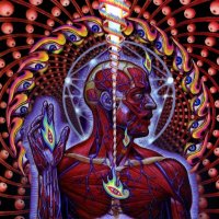 Alpha | www.crypticwizardry.com (@crypticwizardry) 's Twitter Profile