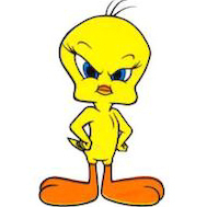 petz98's profile picture. an eye for an eye makes the whole world blind - MG