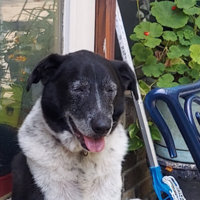 catieasapun's profile picture. ✨Catie. Adult. Tired. ✨